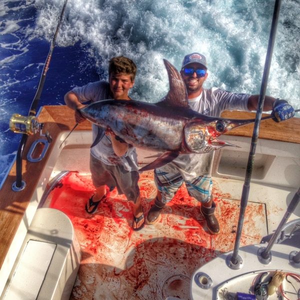 Marlin caught in florida