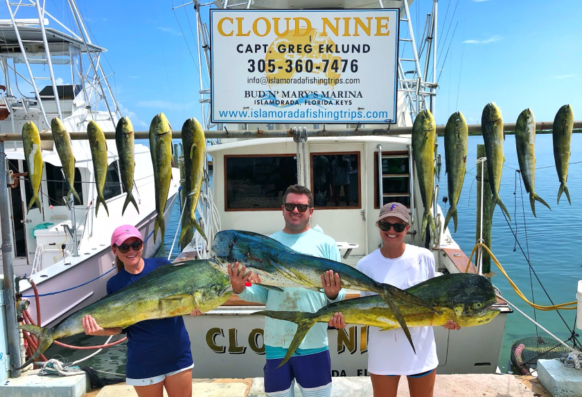 three fish caught in florida
